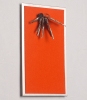 FLUX-Pitchboard, Edelstahl-Schlüsselbrett (in 25 x 15cm) orange
